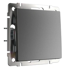 Изображение Выключатель одноклавишный (графит матовый) W1110064